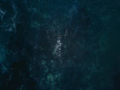 鸟瞰摄影两人在海洋游泳
